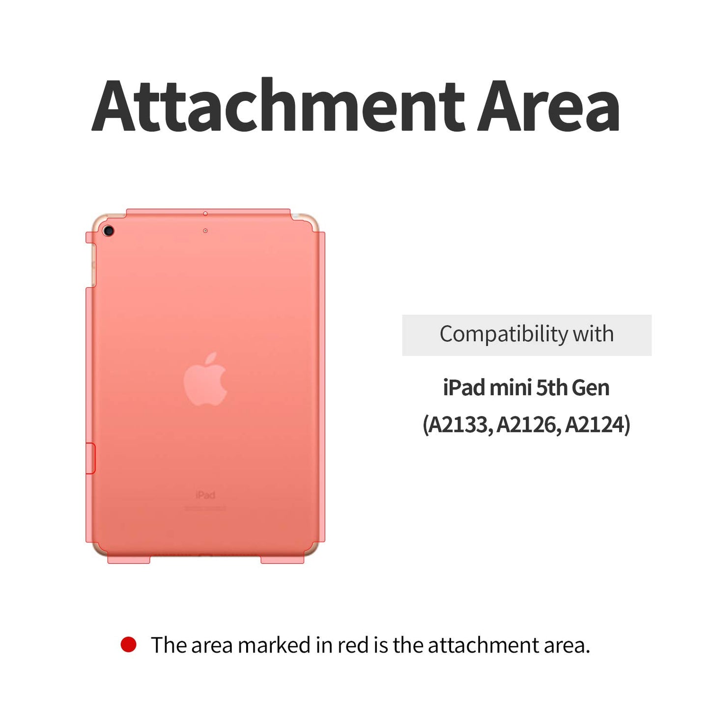 skoko 2 pack Back Protector Film Skin Compatible with iPad mini 5th Generation , Matte Transparant Protective Cover , Anti scratch