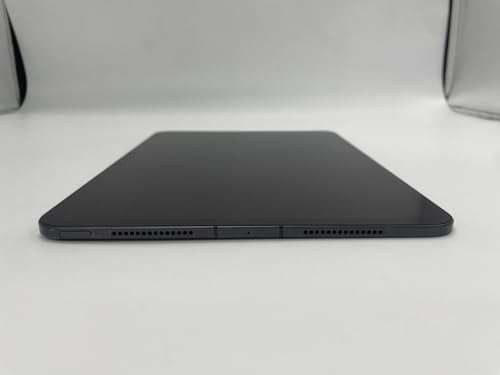 skoko Side Edge Protector Matte Film Skin for iPad pro 11 inc 7th gen 2024