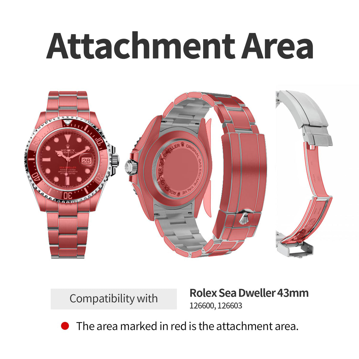 Attachment areas on Rolex Sea-Dweller 43mm
